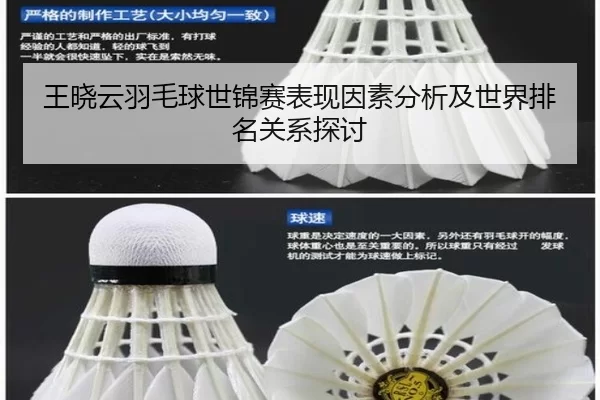 王晓云羽毛球世锦赛表现因素分析及世界排名关系探讨