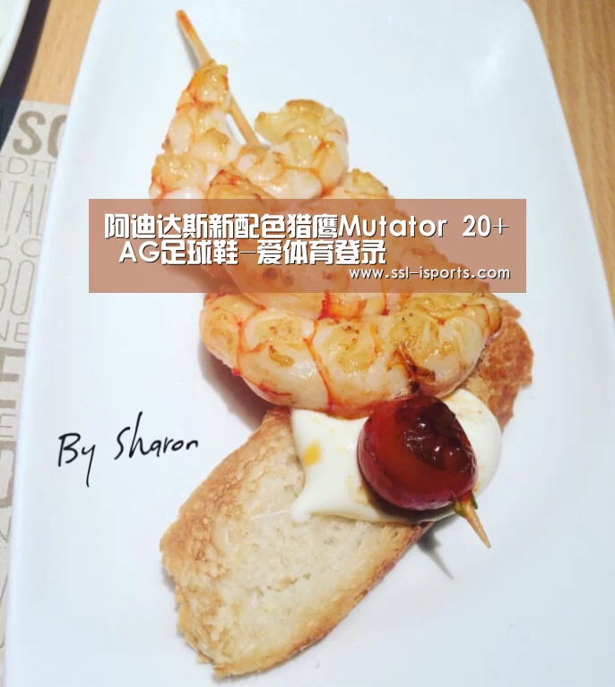 爱体育登录入口